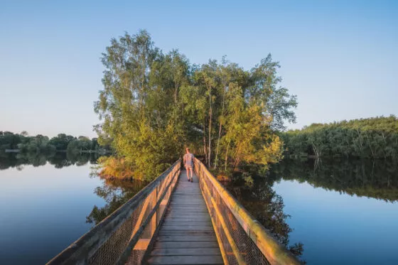 Une personne traverse une ponton au dessus de l'étang de Gruellau