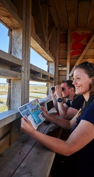 Des personnes observent des oiseaux depuis le belvédère.