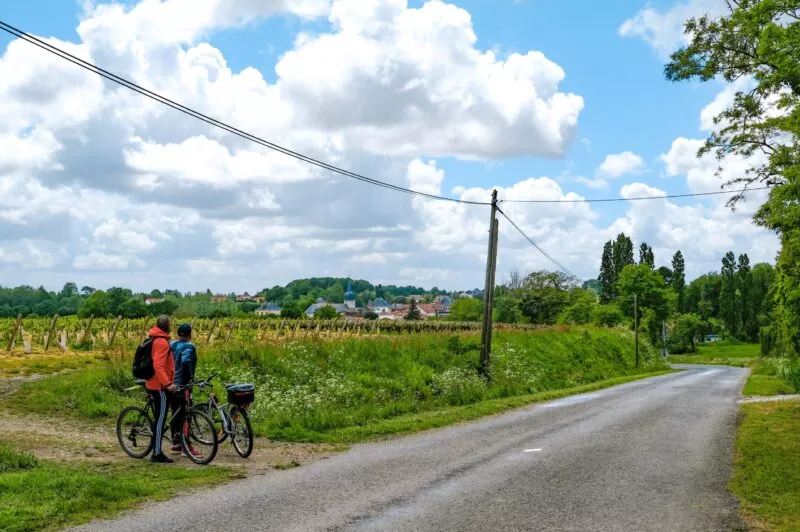 Balade au cœur du vignoble