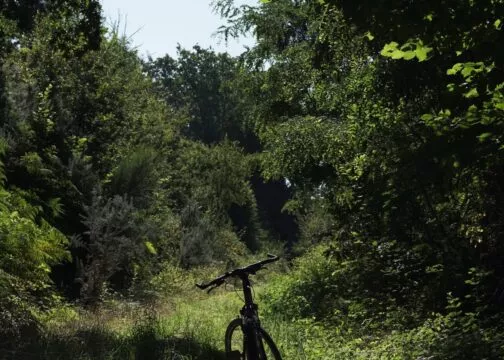 Au cœur de la campagne de Vue