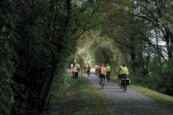 Groupe de cyclistes pédalant sur une voie verte, entourée d'arbres