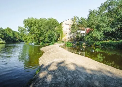 La Sèvre sur la commune de Le Pallet.