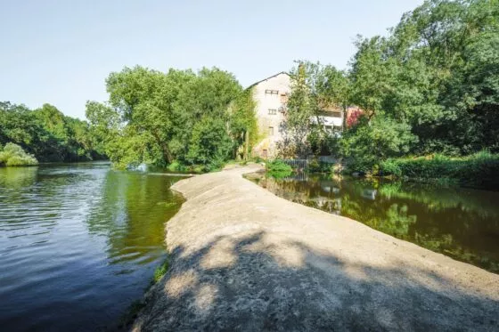 La Sèvre sur la commune de Le Pallet.
