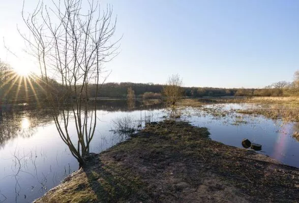 Marais de Saint-Philbert de Grand-Lieu au lever du soleil.