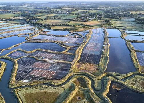 Marais salants de Guérande