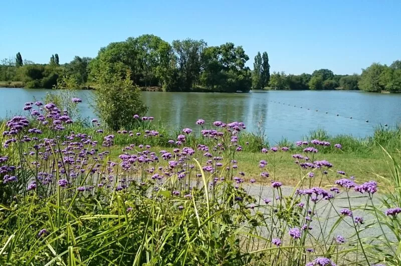 Plan d’eau du Chêne de Saint-Julien de Concelle