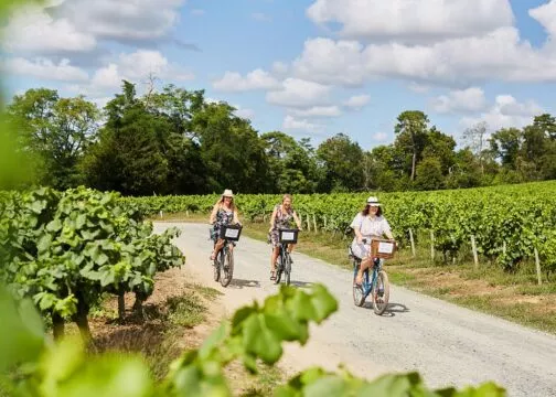 Trois cyclistes pédalent au milieu des vignes, sur une route.