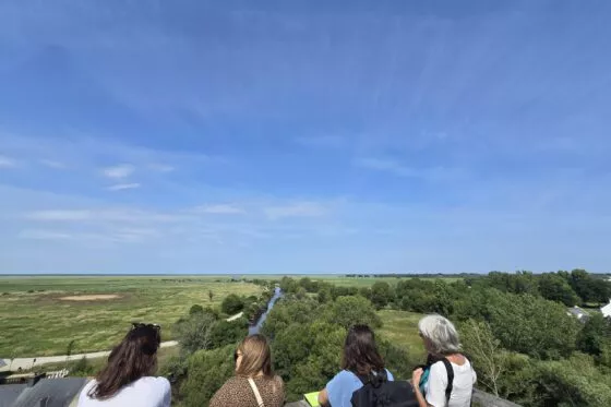 Groupe de personnes de dos regardant le paysage depuis le Belvédère de Rozé.
