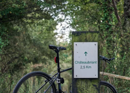 Vélo devant un panneau de signalisation pour balade à vélo