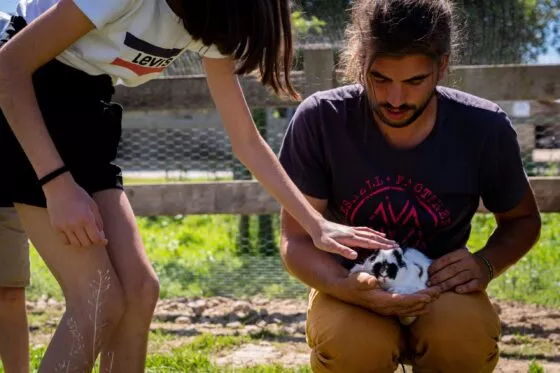 Un enfant caresse un lapin tenu sur les genoux d'un monsieur