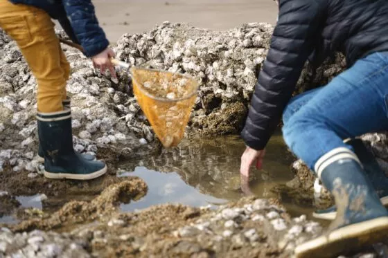 Deux personnes pêchent dans une mare d'eau de mer, sur une plage