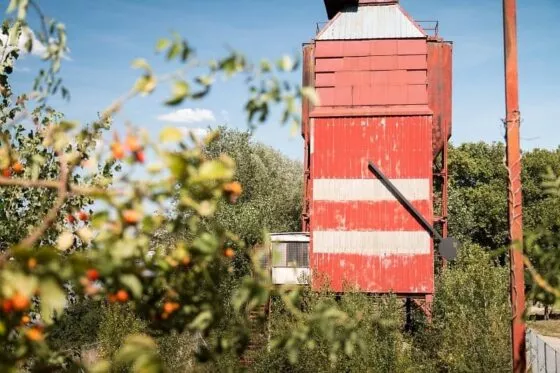 Le Pendule, oeuvre de Roman Signer