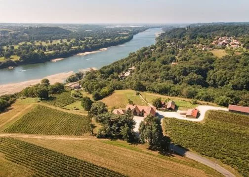 Vue aérienne sur le domaine des Génaudières et ses parcelles de vignes