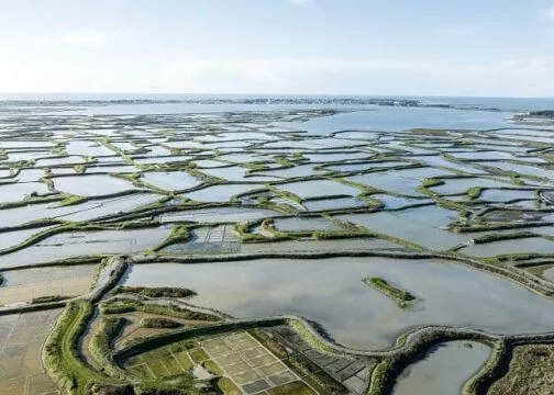 Vue aérienne des marais salants de Guérande