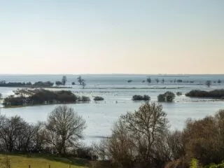 Vue sur le lac de Grand-Lieu depuis la tour panoramique de la maison des pêcheurs.