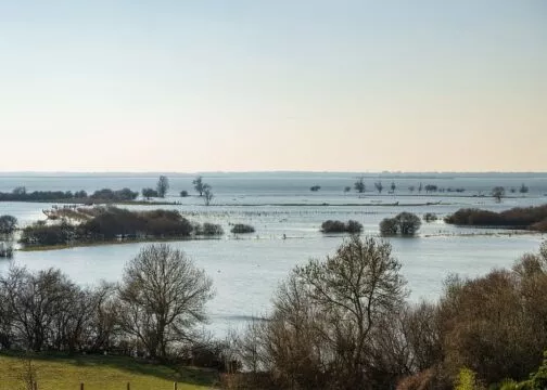 Vue sur le lac de Grand-Lieu depuis la tour panoramique de la maison des pêcheurs.