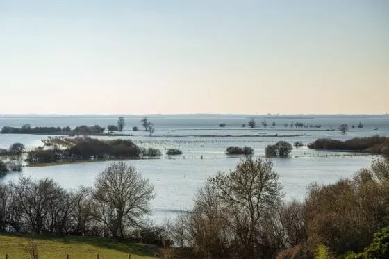 Vue sur le lac de Grand-Lieu depuis la tour panoramique de la maison des pêcheurs.