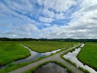 Entre marais et nature, les marais du Syl offrent une totale déconnexion