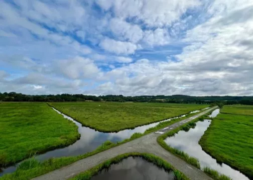 Entre marais et nature, les marais du Syl offrent une totale déconnexion