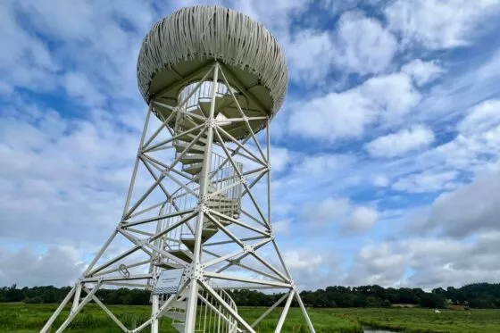 Nid observatoire surplombant les marais