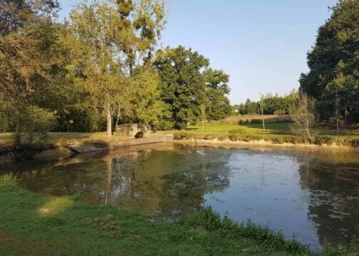 La rivière Le Coudray à Plessé