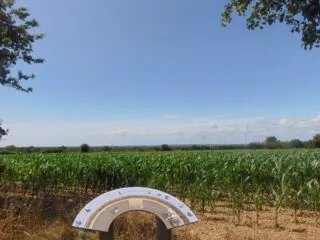 Une table d'orientation devant les vignes de Bouvron