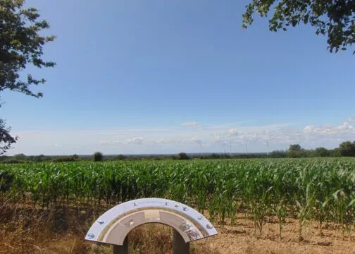 Une table d'orientation devant les vignes de Bouvron