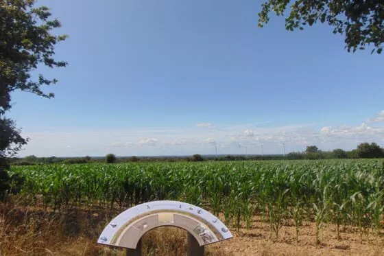 Une table d'orientation devant les vignes de Bouvron