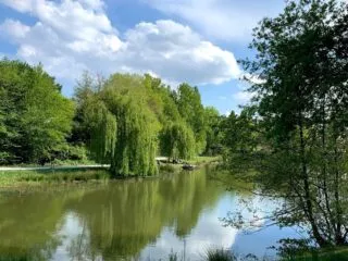 Le parc de la Chézine : une immersion en pleine nature !