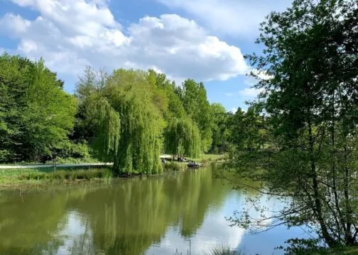 Le parc de la Chézine : une immersion en pleine nature !