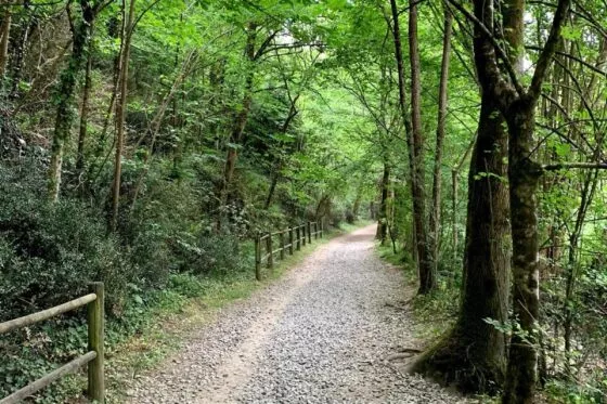 Sentier de balade dans le parc de la Chézine