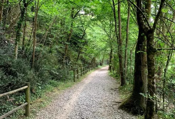 Sentier de balade dans le parc de la Chézine