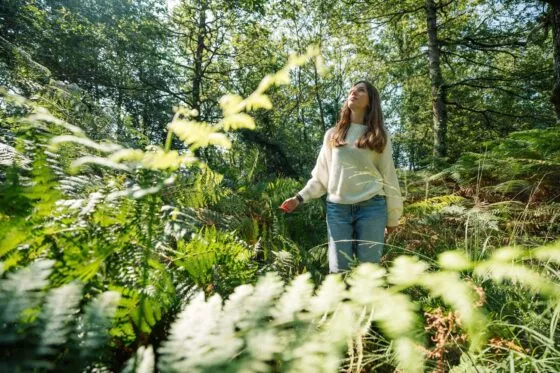 Une jeune fille lève les yeux vers la cîmes des arbres sur le chemin pédestre qui traverse la foret de Machecoul