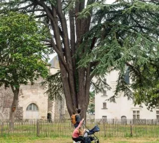 Des grands-parents s'amusent avec leurs petits-enfants sur un parcours santé.