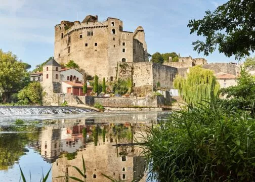 un château médiéval en ruine vu depuis la rive opposée d'une rivière