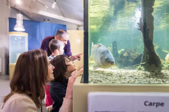 Une famille observe la vie piscicole dans les aquariums de la Maison des pêcheurs