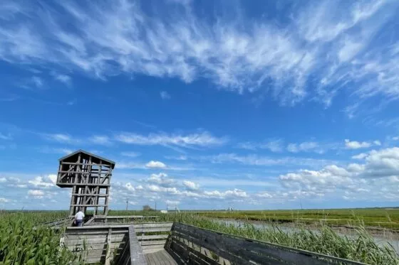 Vue sur l'Observatoire de Tadashi Kawamata à Lavau-sur-Loire