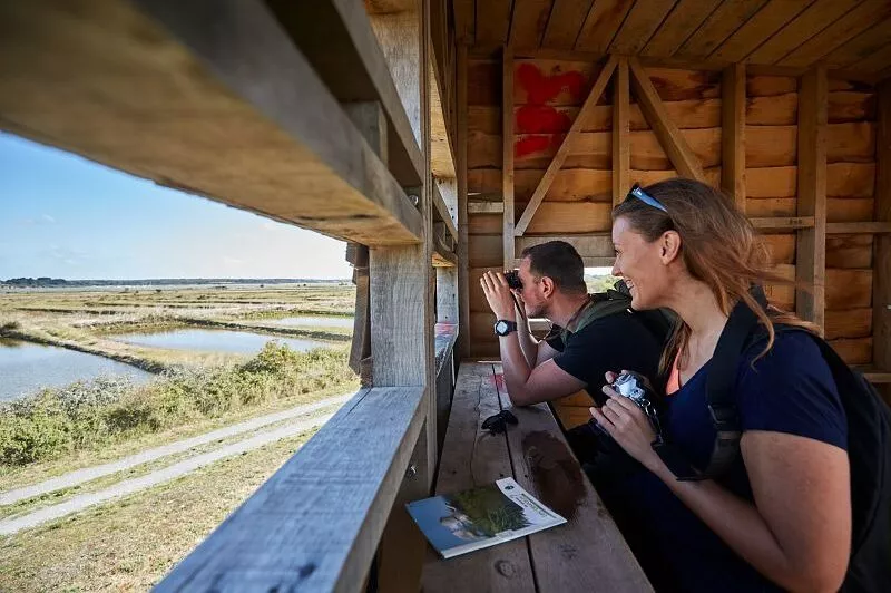 Une femme et un homme observent des oiseaux depuis l'observatoire en bois de Mesquer