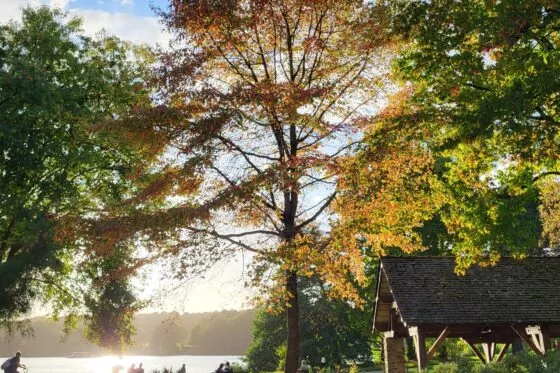 Le parc de la Chantrerie revêt de jolies couleurs sous un soleil d'hiver