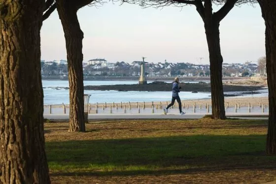 Une personne effectue un jogging le long de l'océan, vue entre deux arbres.