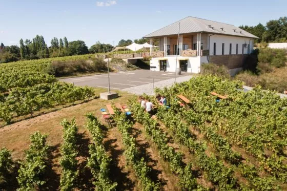 Vue aérienne d'un domaine viticole avec un bâtiment neuf qui surplombe les vignes qui l'entourent de tous les côtés