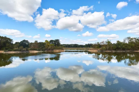 Vue sur la Loire par beau temps : le ciel se reflète dans l'eau du fleuve. Celui-ci est bordé d'arbres et d'arbustes verts.