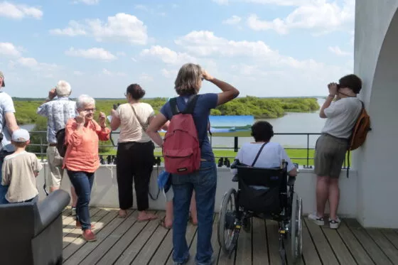 Un groupe de visiteurs observent la faune depuis le Pavillon de La Maison du lac de Grand-Lieu.