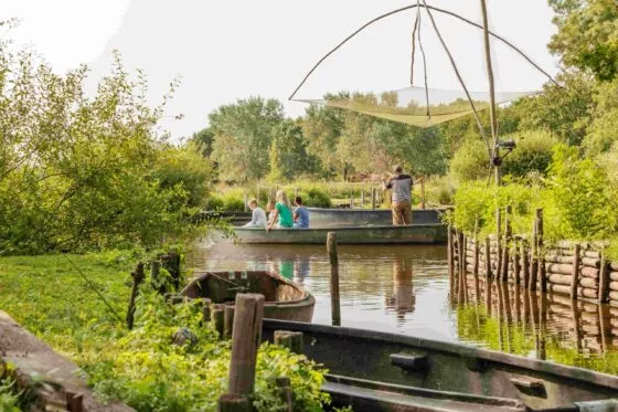 Un chaland barré par un promeneur glisse dans un canal du marais de Brière, dans un environnement très vert. Sur le côté, un