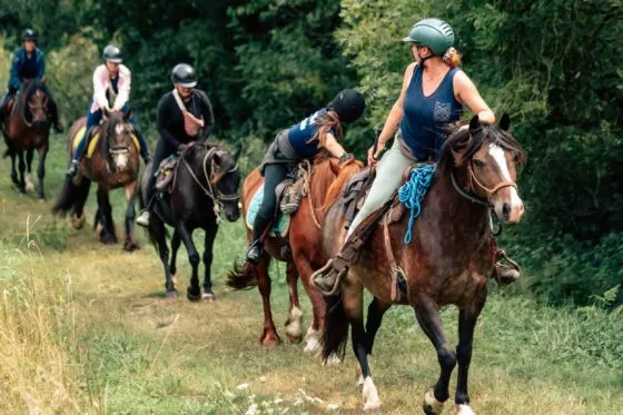Petit groupe de cavaliers en balade dans un cadre verdoyant aux alentours de Nort-sur-Erdre