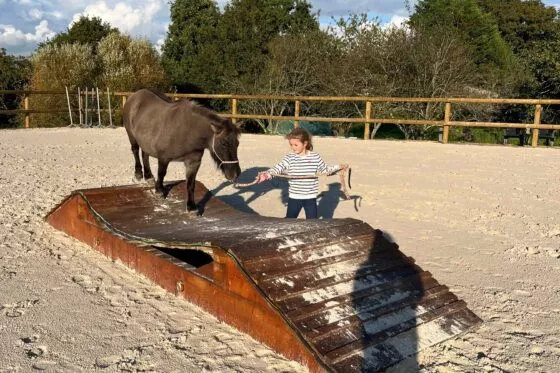 Petite fille qui tient son cheval par le harnais et le fait franchir un obstacle imitant ceux que l'on peut trouver en pleine nature.