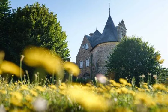 Le Château de Châteaubriant derrière un parterre de fleurs jaunes