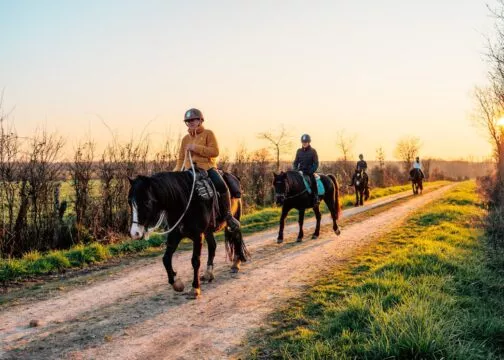 Petit groupe de cavaliers en balade au soleil couchant sur un petit sentier