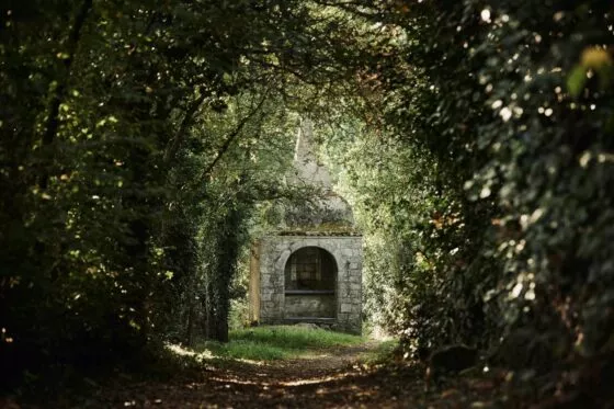 Fontaine en pierres apparaissant au bout d'une allée d'arbres sombres.