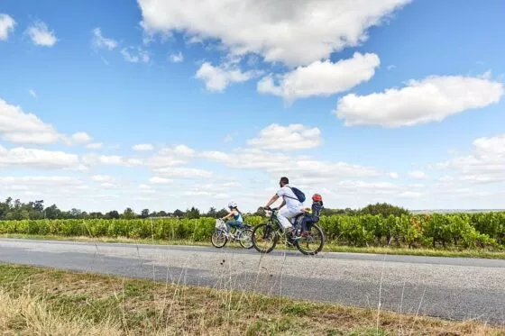 Famille avec enfant à vélo qui longe les rangs de vignes.